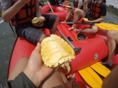 Fresh pineapple while rafting anyone?